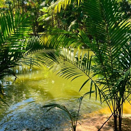 Pousada Beira Rio Barrerinhas Hotell Barreirinhas Exteriör bild