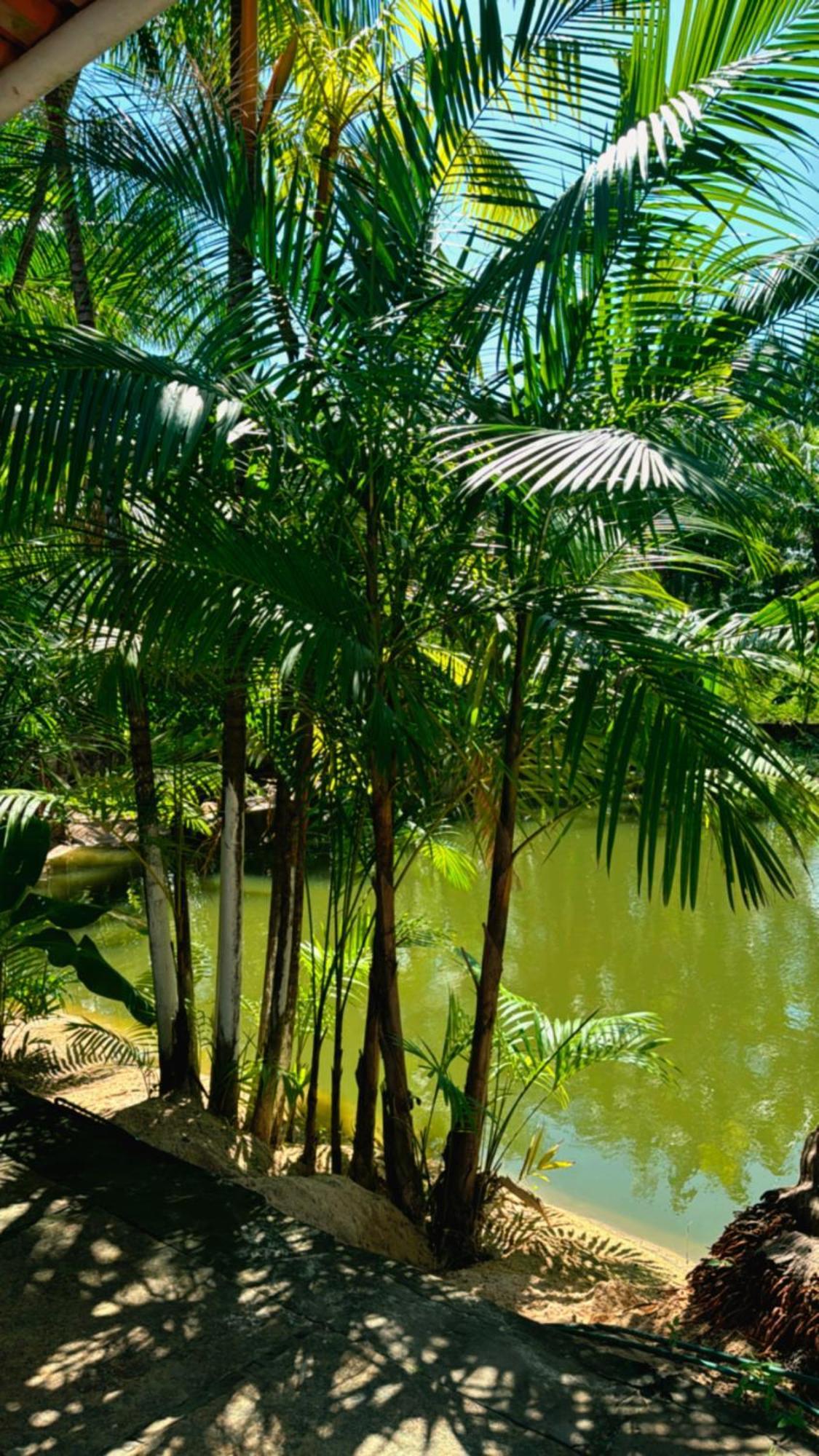 Pousada Beira Rio Barrerinhas Hotell Barreirinhas Exteriör bild