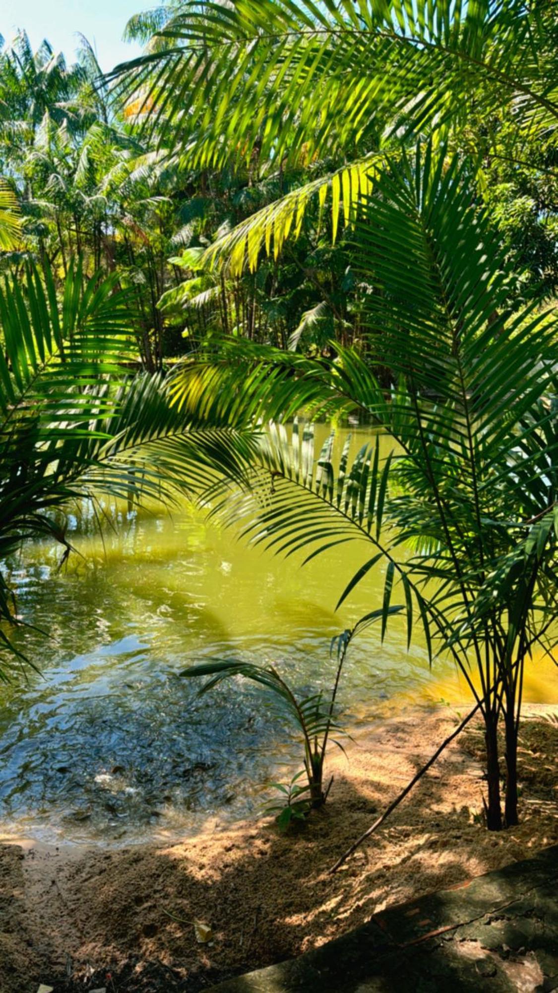 Pousada Beira Rio Barrerinhas Hotell Barreirinhas Exteriör bild