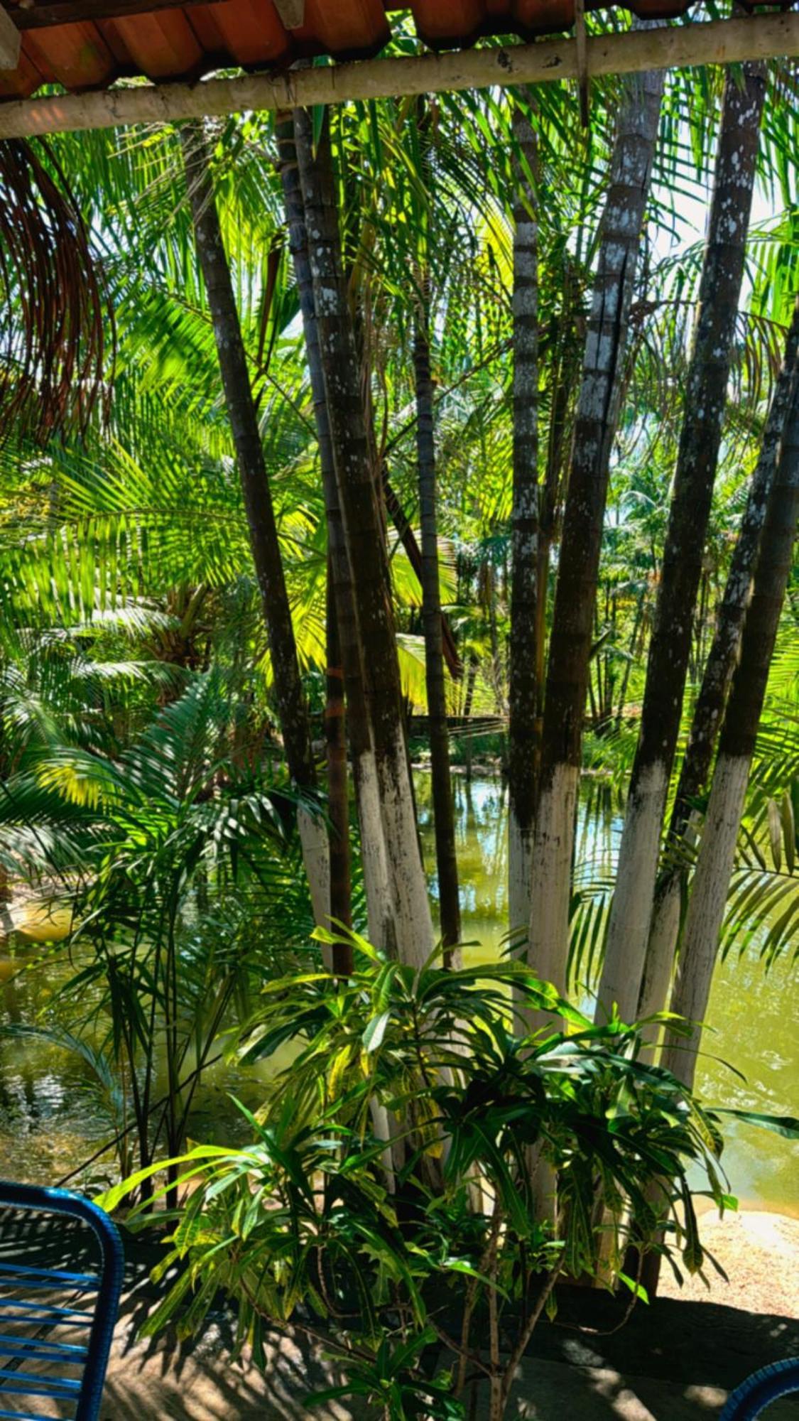 Pousada Beira Rio Barrerinhas Hotell Barreirinhas Exteriör bild