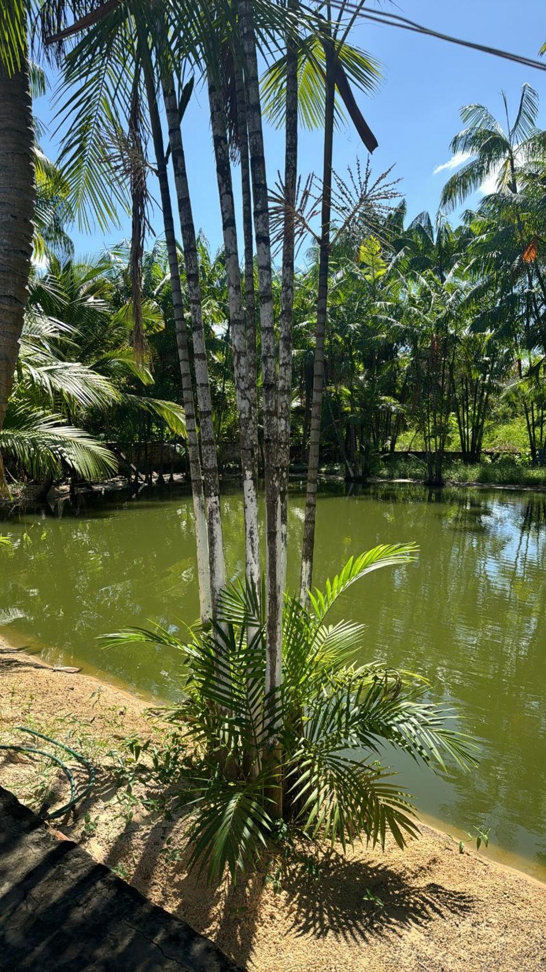 Pousada Beira Rio Barrerinhas Hotell Barreirinhas Exteriör bild